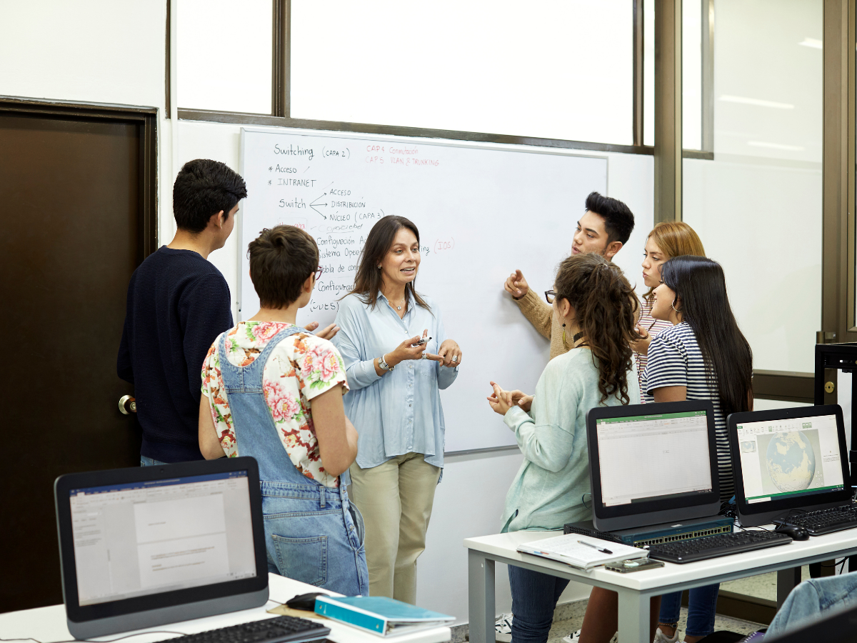 Lisans Dereceleri (Undergraduate Courses)