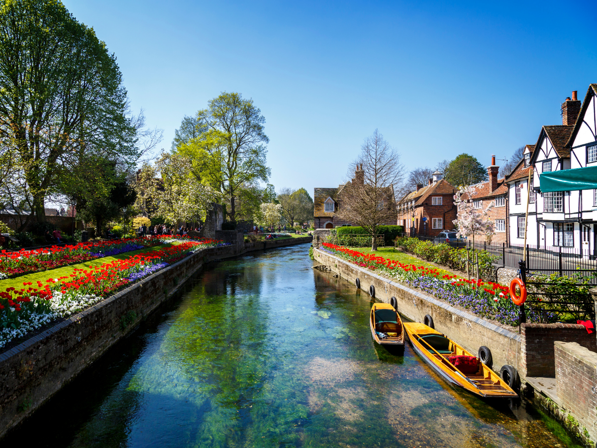 EduCampus Websitesi Görseller (12)