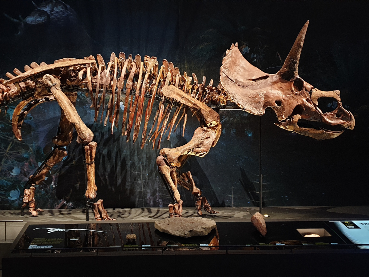 EduCampus Websitesi Görseller (19)